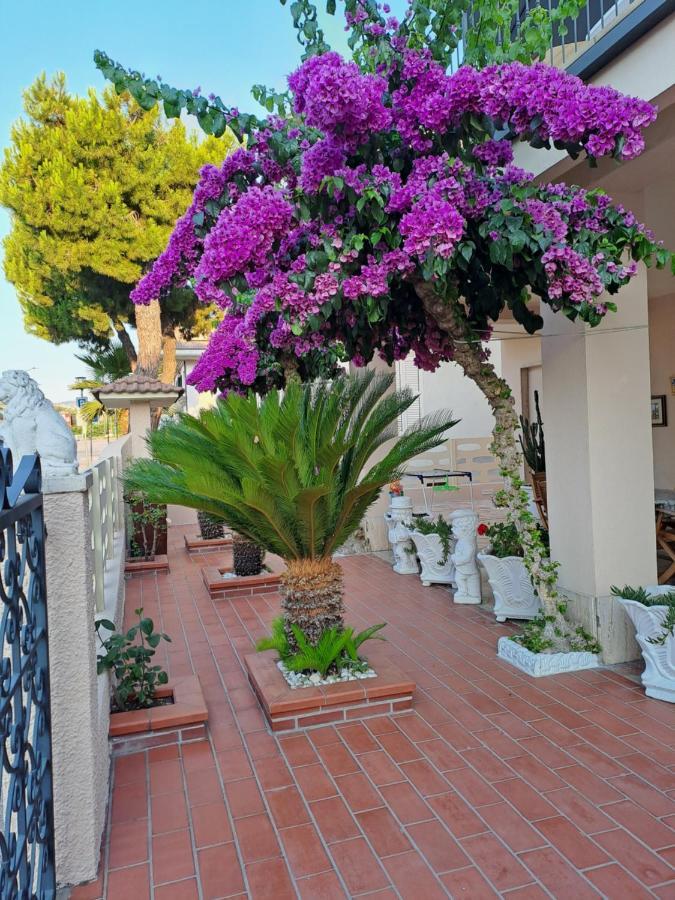Bouganville Casa Vacanza Ambiente Climatizzato Con Wi Fi Pineto Zewnętrze zdjęcie