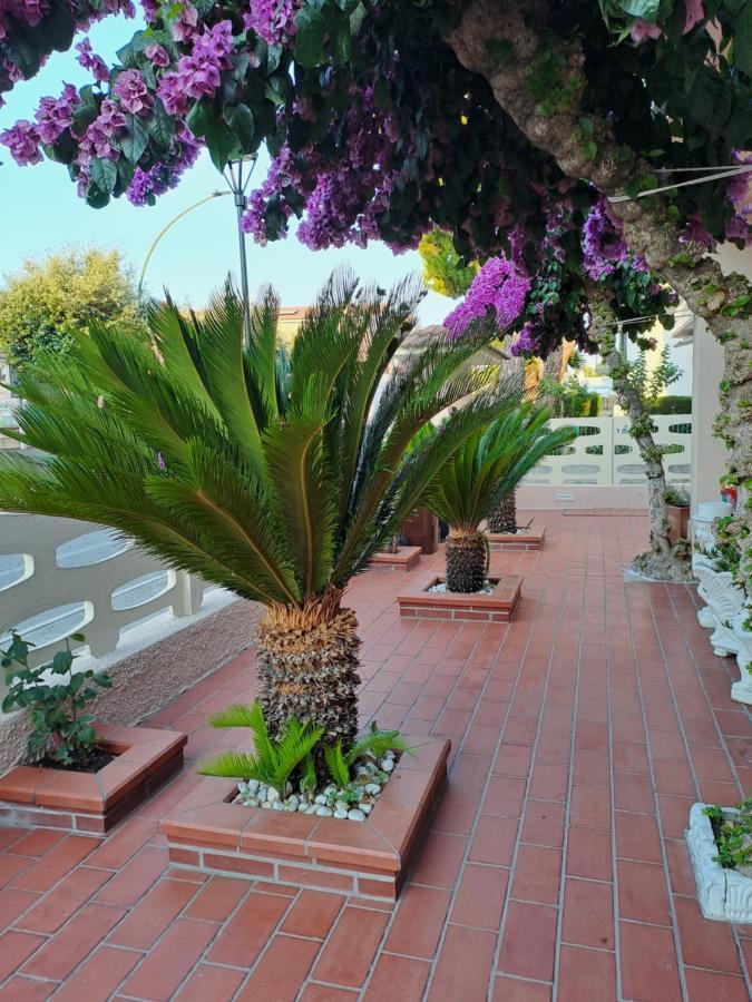 Bouganville Casa Vacanza Ambiente Climatizzato Con Wi Fi Pineto Zewnętrze zdjęcie